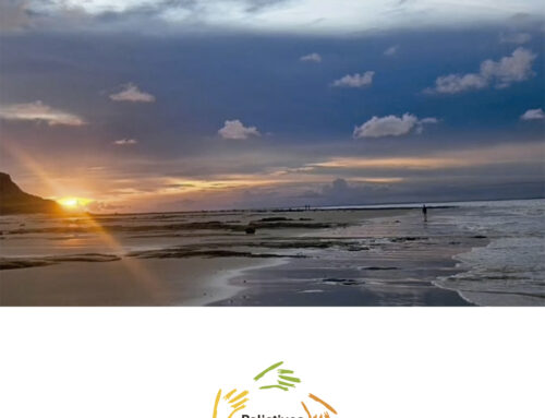 Notas Paliativas 2025