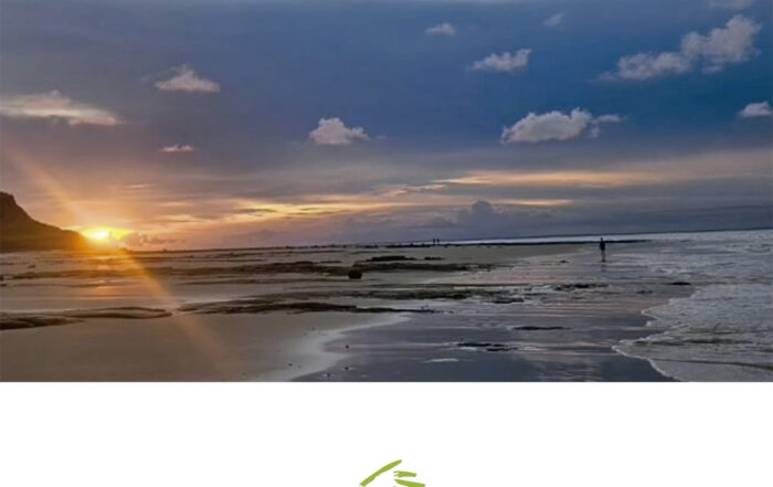 Portada Notas Paliativas 2025